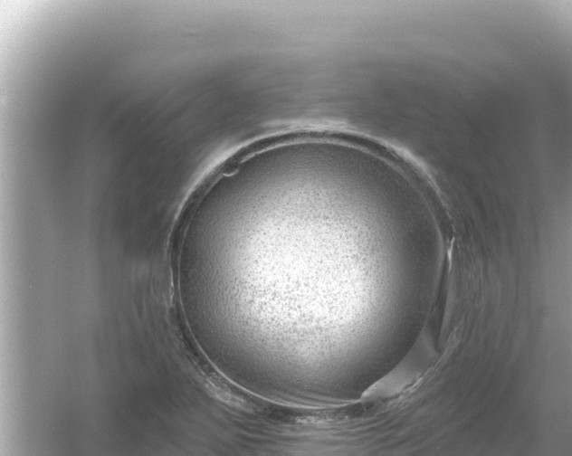 X0000054441271200508051849