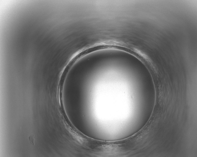 X0000054441272200508051849