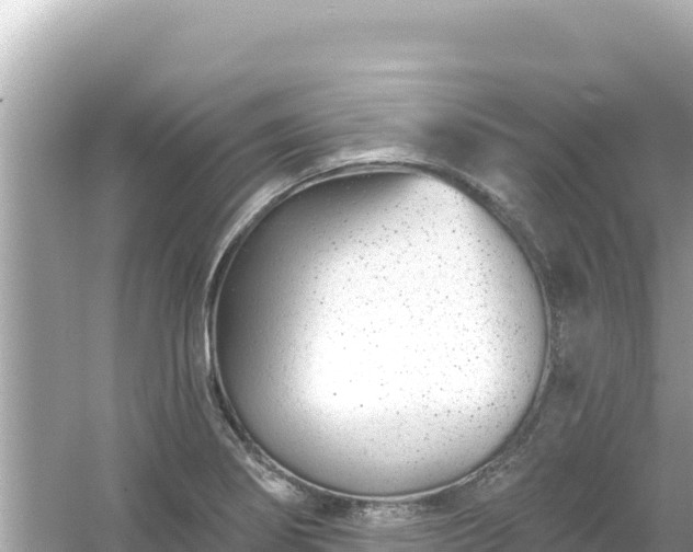 X0000054441274200508051849