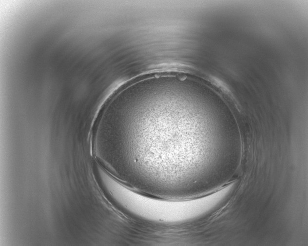 X0000054441275200508051849