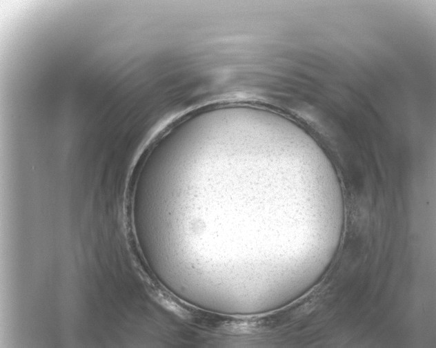 X0000054441278200508051849