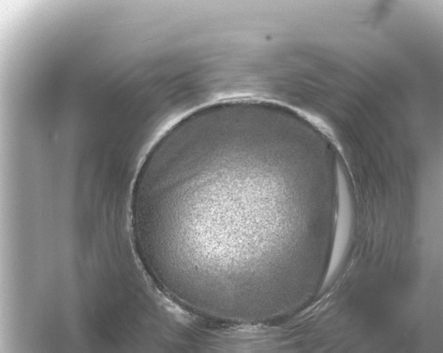 X0000054441279200508051849