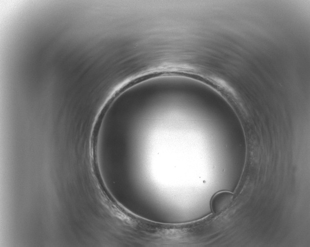 X0000054441280200508051849