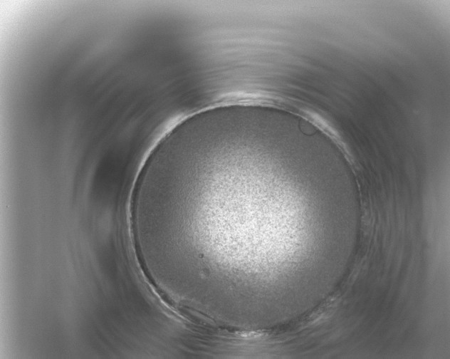 X0000054441283200508051849