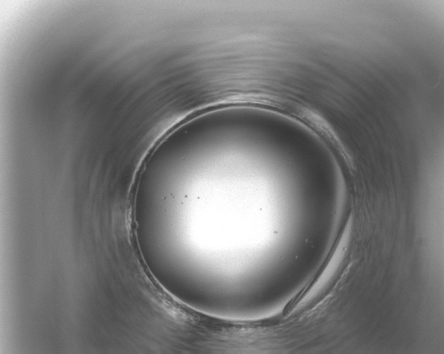 X0000054441284200508051849