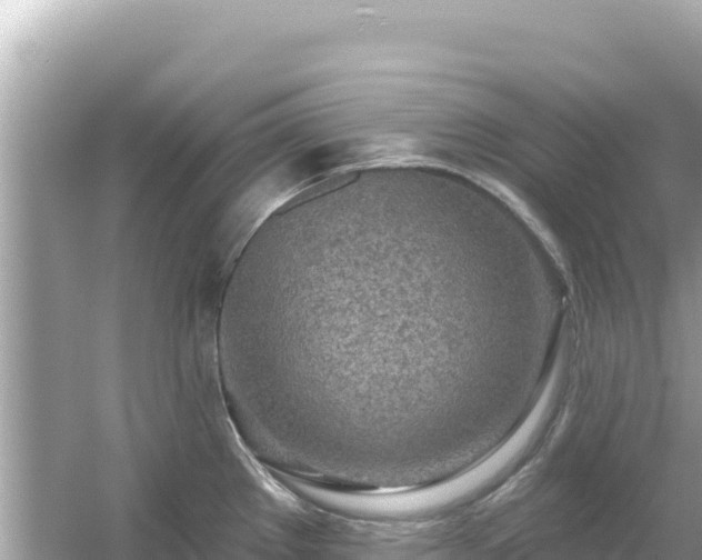 X0000054441289200508051849