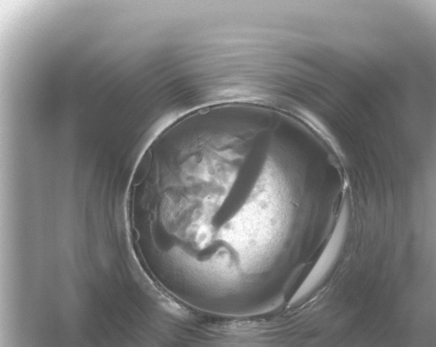 X0000054441291200508051849