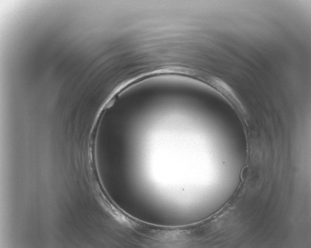 X0000054441292200508051849