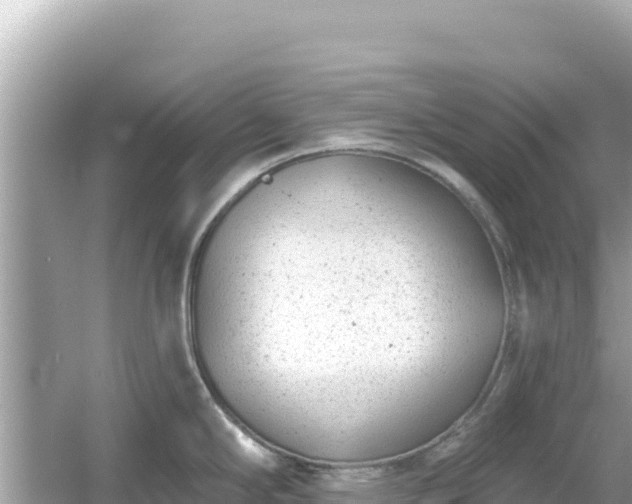 X0000054441294200508051849