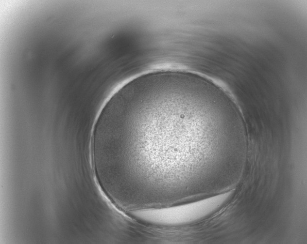 X0000054441295200508051849