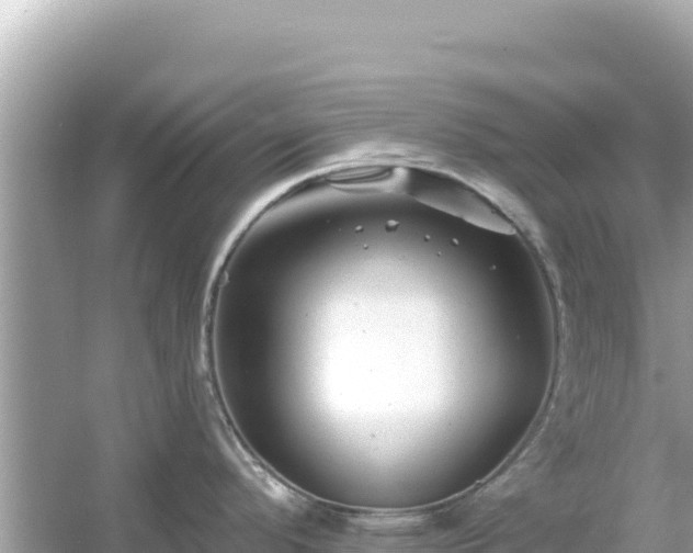 X0000054441296200508051849