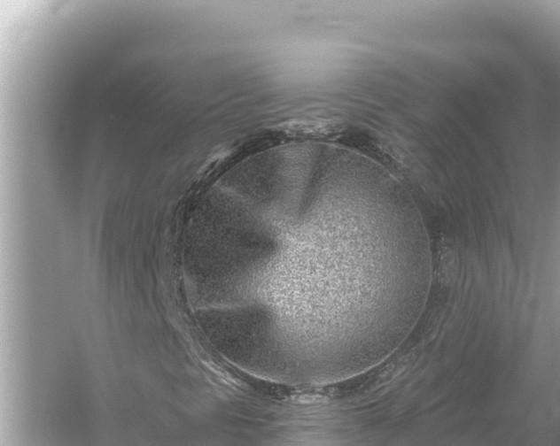 X0000054441297200508051848