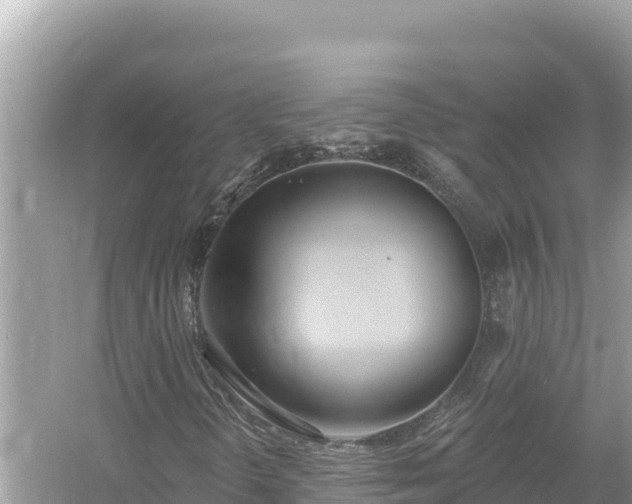 X0000054441298200508051848