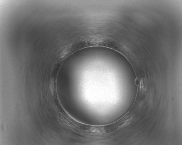 X0000054441299200508051848