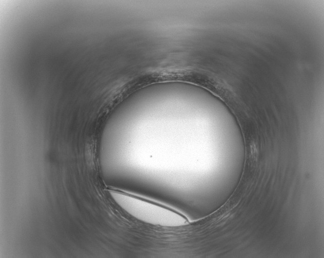 X0000054441300200508051848