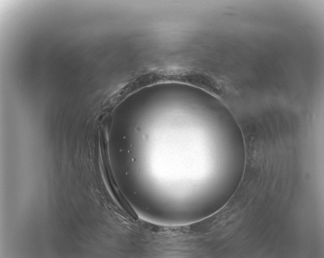 X0000054441301200508051848