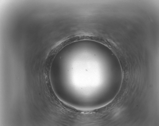 X0000054441303200508051848