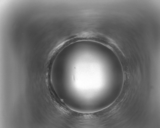 X0000054441304200508051848