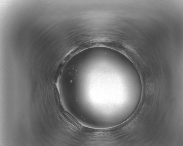 X0000054441305200508051848