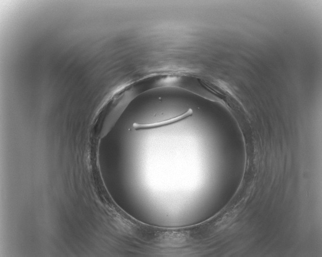 X0000054441307200508051848