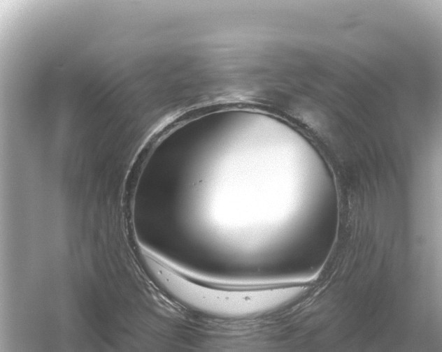 X0000054441308200508051848