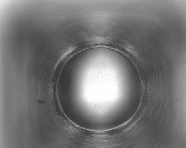 X0000054441309200508051848