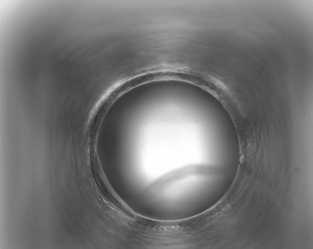 X0000054441310200508051848