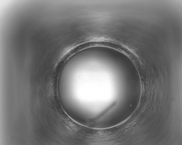 X0000054441311200508051848