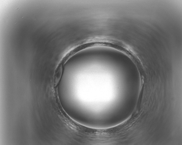 X0000054441312200508051848