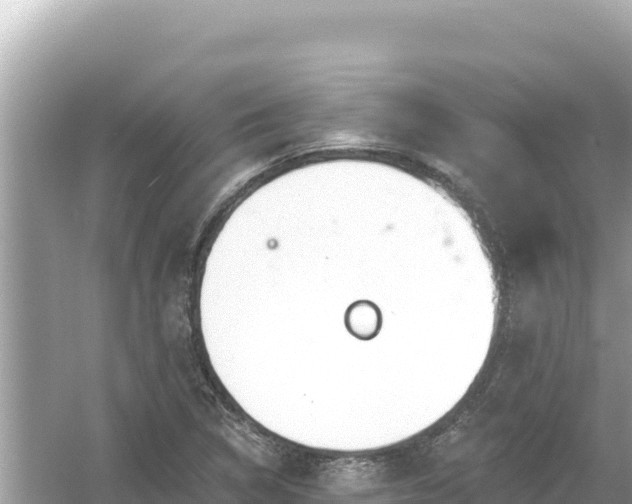 X0000054441314200508051848