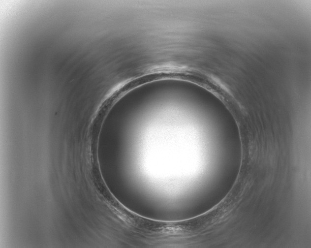 X0000054441315200508051848