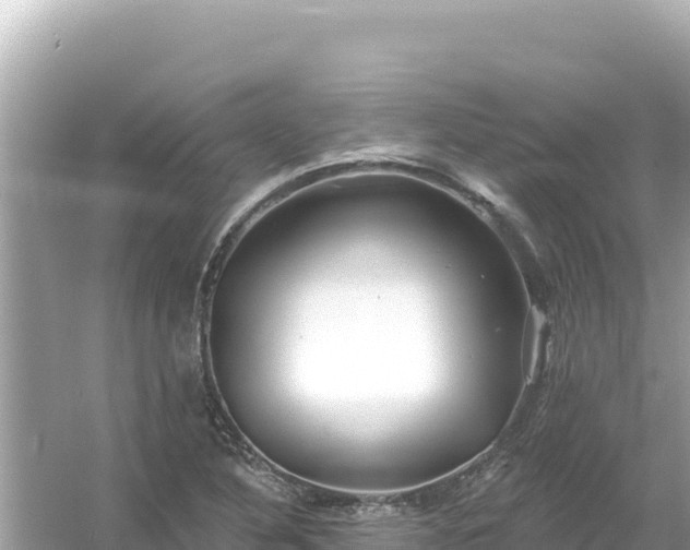 X0000054441316200508051848