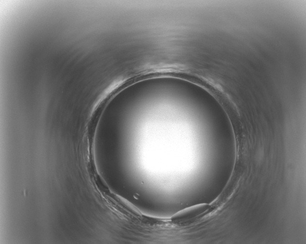 X0000054441317200508051848