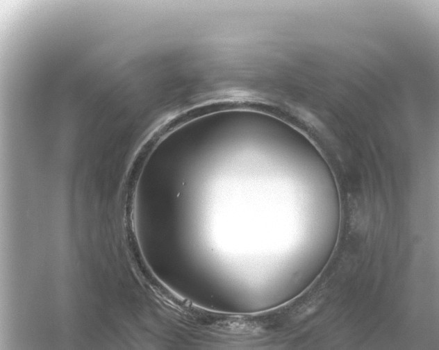 X0000054441318200508051848