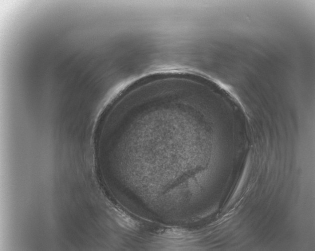 X0000054441319200508051848