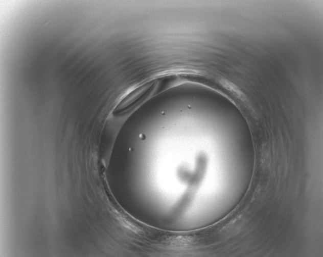 X0000054441321200508051848