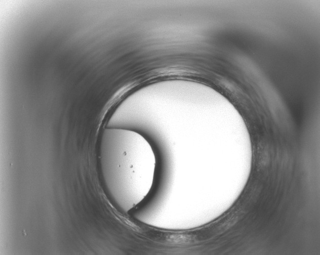 X0000054441322200508051848