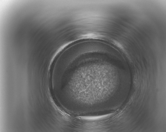 X0000054441323200508051848