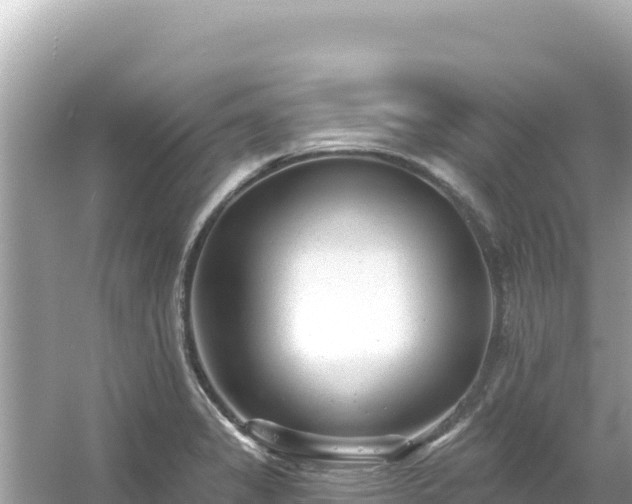 X0000054441325200508051848