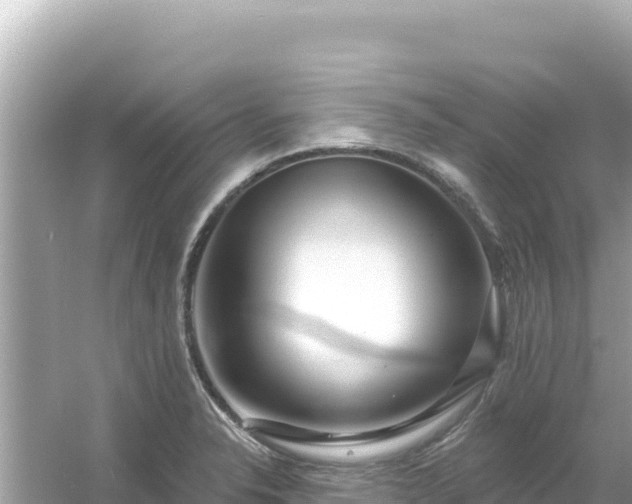 X0000054441326200508051848