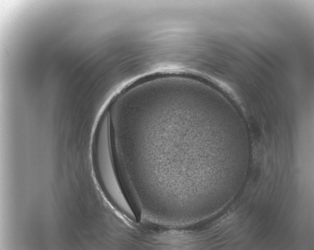 X0000054441327200508051848