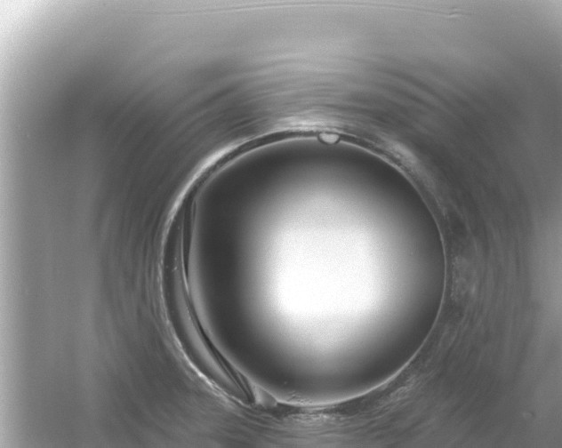 X0000054441331200508051849