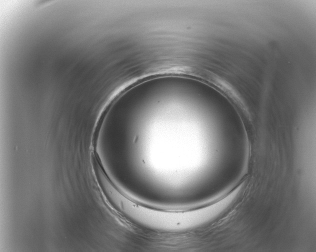 X0000054441332200508051849