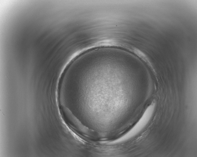 X0000054441334200508051849