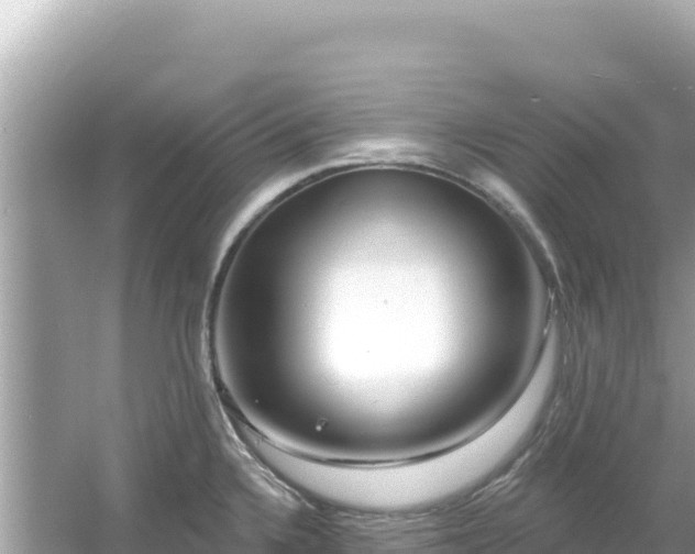 X0000054441336200508051849