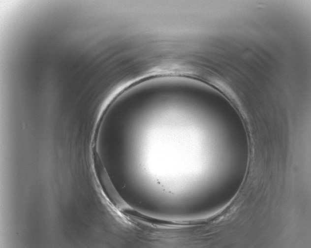 X0000054441344200508051849