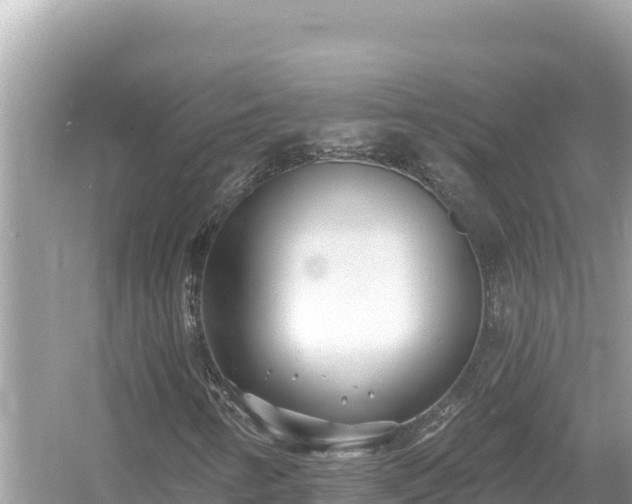 X0000054441346200508051848