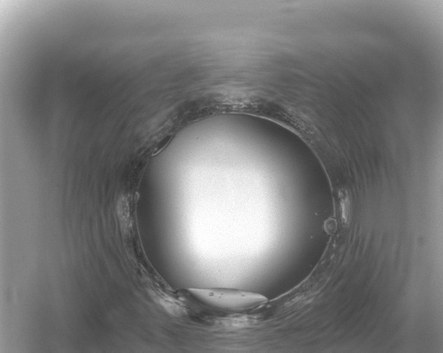 X0000054441347200508051848