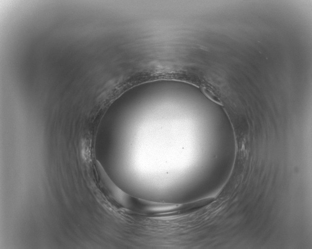 X0000054441348200508051848