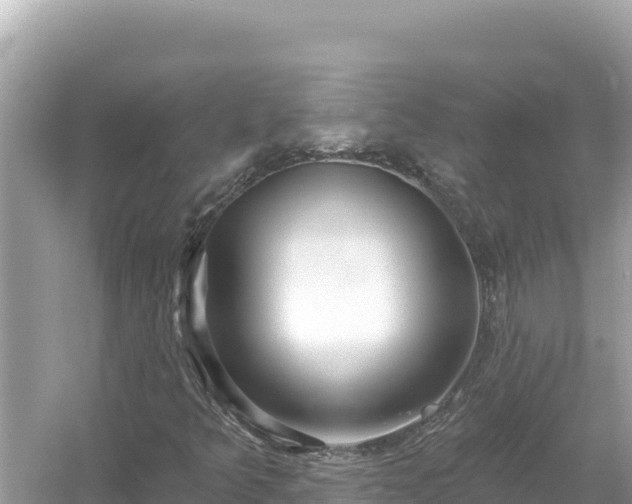 X0000054441349200508051848